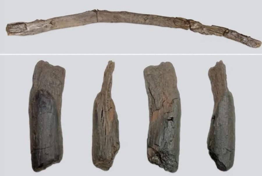 Greqi: Arkeologët gjejnë veglat më të vjetra në botë prej druri