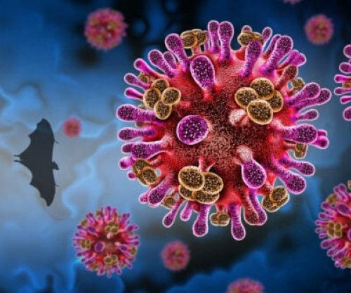 Virusi “Nipah” ngjall shqetësim global, por a rrezikohet edhe Kosova?