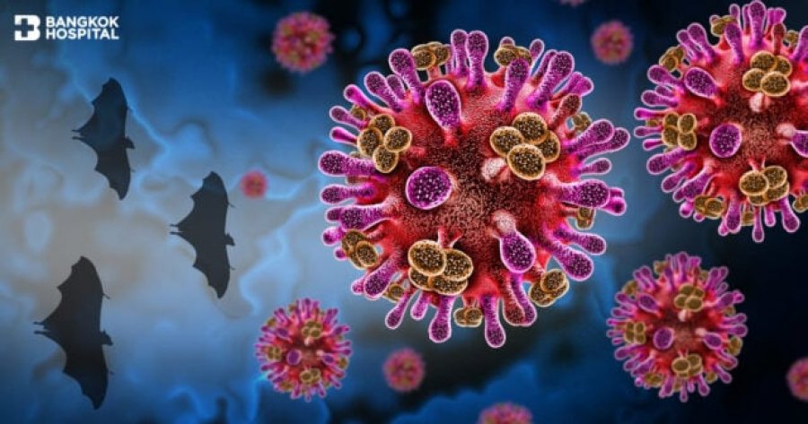 Virusi “Nipah” ngjall shqetësim global, por a rrezikohet edhe Kosova?