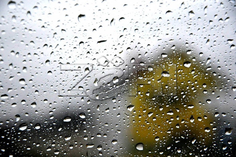 Parashikimi i motit për të martën