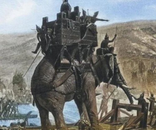 Gjendet në Spanjë kocka e një elefanti lufte të betejave të Hanibalit