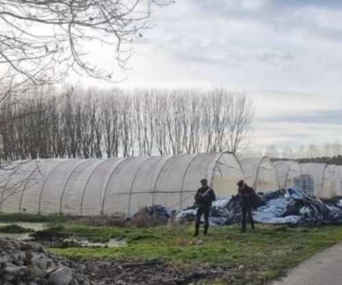 Gjendet i vrarë në parcelën e një toke 25-vjeçari shqiptar në Itali