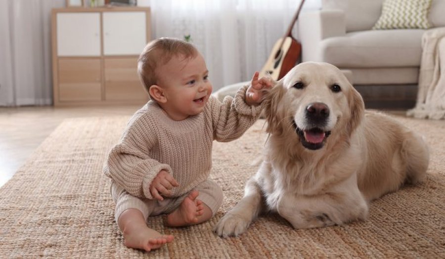 Fëmijët që rriten me kafshë shtëpiake mund të jenë më pak të prirur ndaj alergjive ushqimore