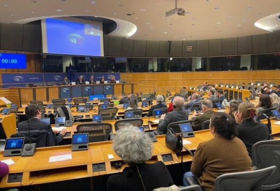 Krimet e përdhunimit gjatë luftës në Kosovë prezantohen në Parlamentin Evropian në Bruksel