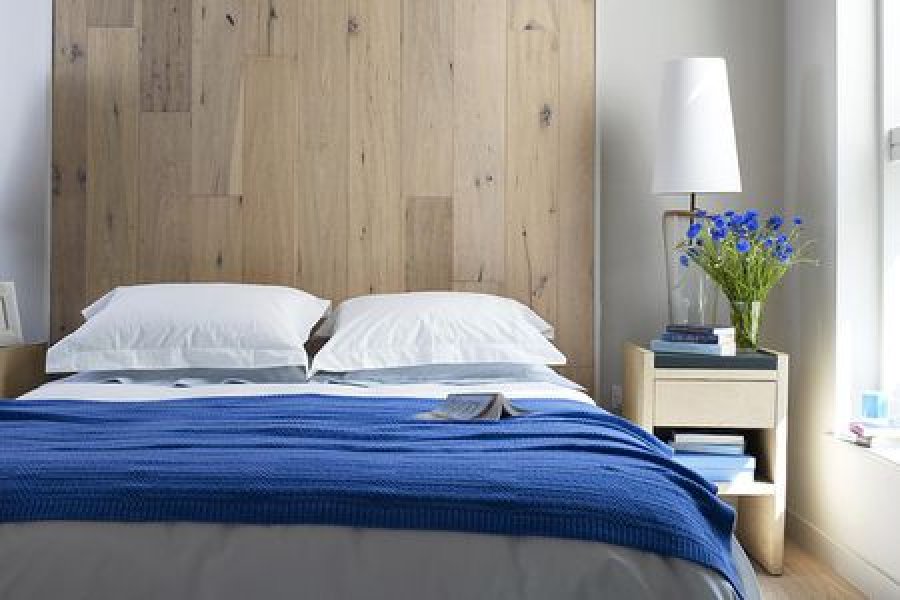 tri-lule-qe-patjeter-duhet-t-i-keni-ne-dhome