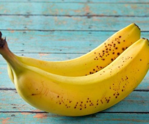 Vetëm dy banane në ditë për t’i parandaluar këto sëmundje