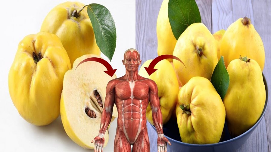 dobite-shendetesore-nga-ftoi