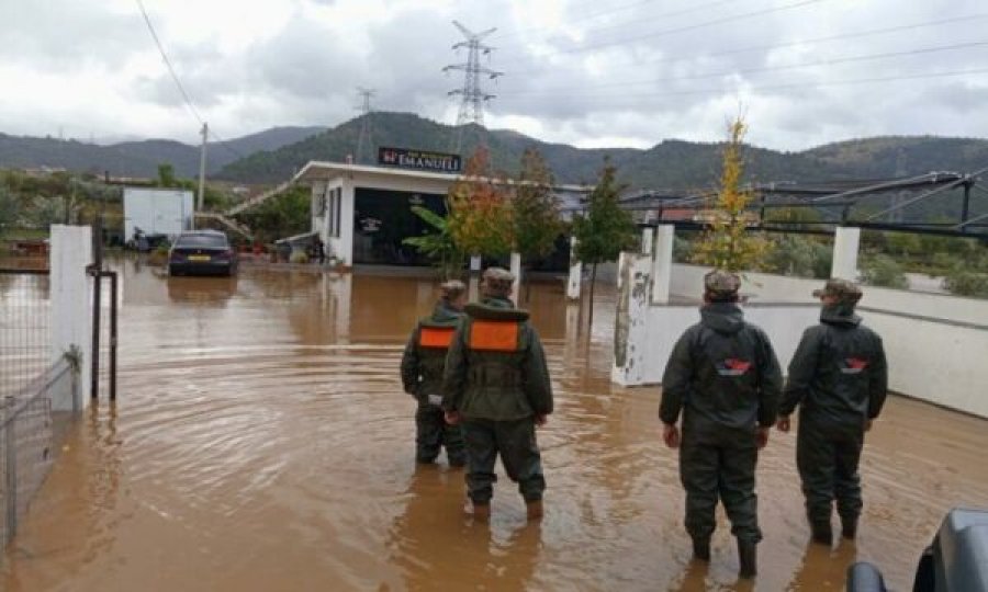 Reshjet e shiut pritet të vazhdojnë edhe në Shqipëri