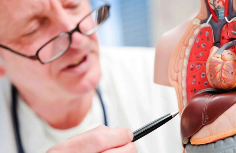 “Sinjalet” që mëlçia dërgon për ndihmë