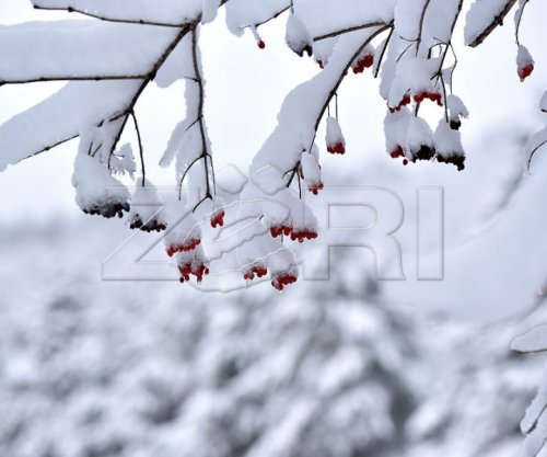 11 janari me temperaturat më të ulëta, ditët në vijim pritet rritje e tyre
