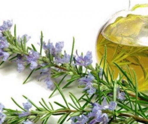 Kjo bimë forcon imunitetin, lehtëson reumatizmin dhe mbron trurin