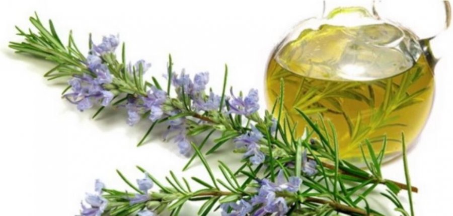 Kjo bimë forcon imunitetin, lehtëson reumatizmin dhe mbron trurin