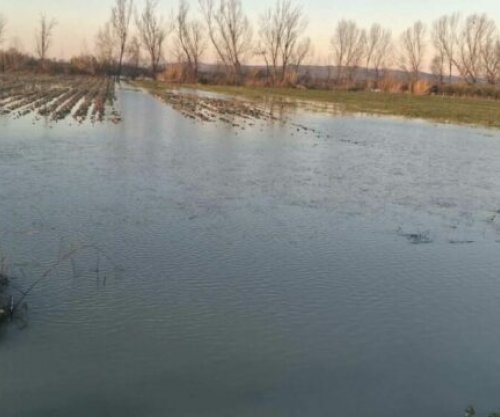 Shkarkimet nga digat, kanalet të bllokuara - rritet sipërfaqja e serrave të përmbytura në Shqipëri
