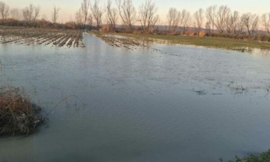 Shkarkimet nga digat  kanalet të bllokuara   rritet sipërfaqja e serrave të përmbytura në Shqipëri