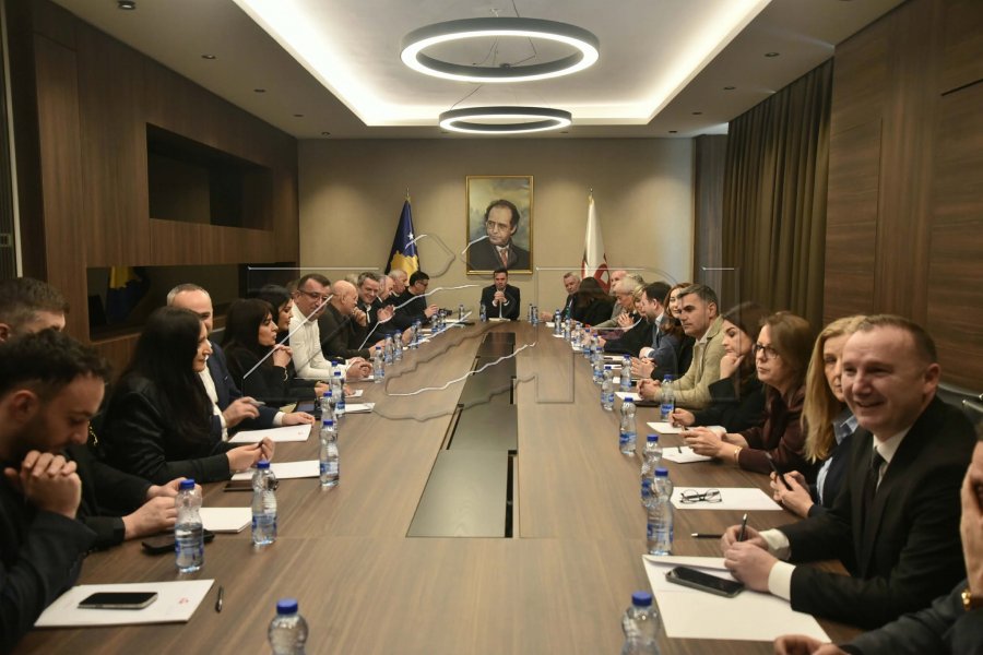 Nis mbledhja e Kryesisë së LDK-së