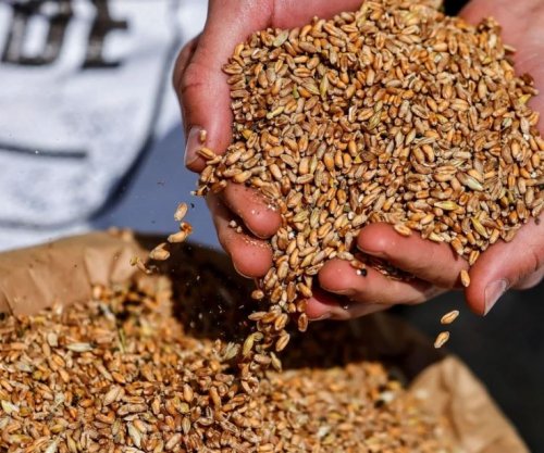 Shtohet toka djerrë, Shqipëria blen më shumë drithë nga jashtë - kryeson Serbia