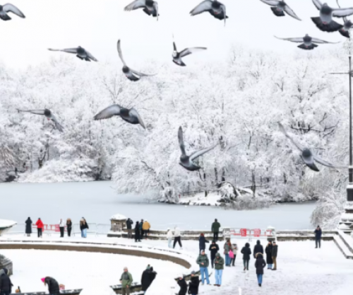 Disa shtete amerikane shpallin gjendje emergjente për shkak të stuhisë dimërore