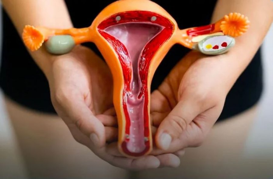 Endometrioza dhe rritja e rrezikut për sëmundje kardiovaskulare