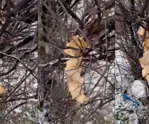 Policia në Gjakovë nis hetimet për dëmtimin e Kuranit