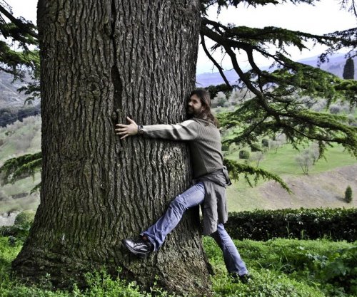 Të përqafosh një pemë, përfitimet e habitshme pas këtij gjesti