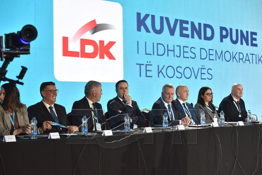 LDK-ja nis ristrukturimin 100-ditësh: Kryesi e re dhe model i ri organizimi