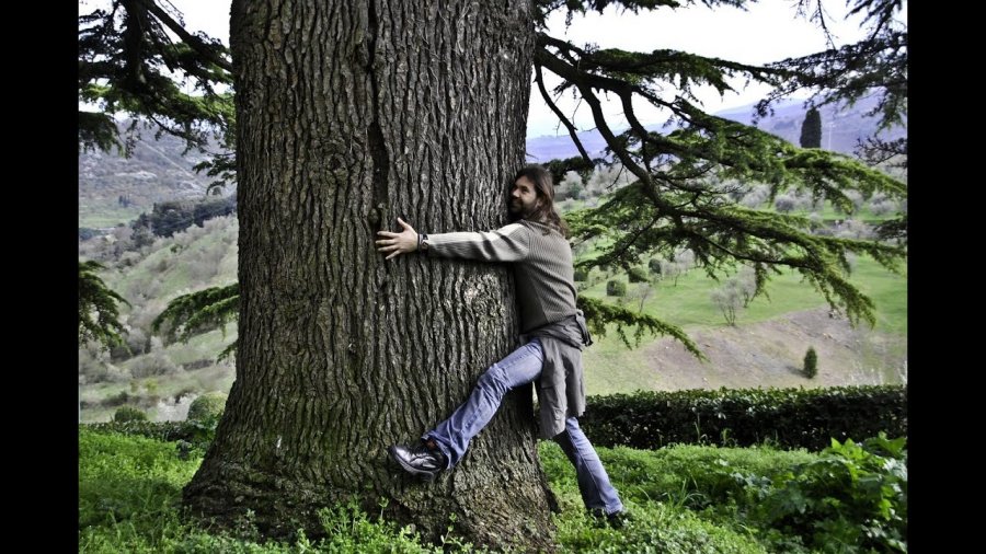 te-perqafosh-nje-peme-perfitimet-e-habitshme-pas-ketij-gjesti