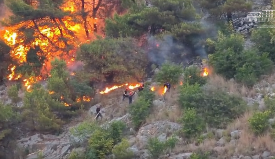 Zjarri në Shëngjin, autoritetet luftojnë flakët gjatë gjithë natës