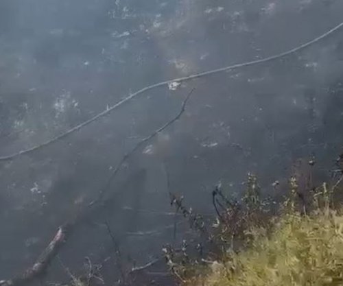 Zjarr në Vlorë, flakët përfshijnë sipërfaqe me shkurre dhe bimë – dyshohet se ishte i qëllimshëm