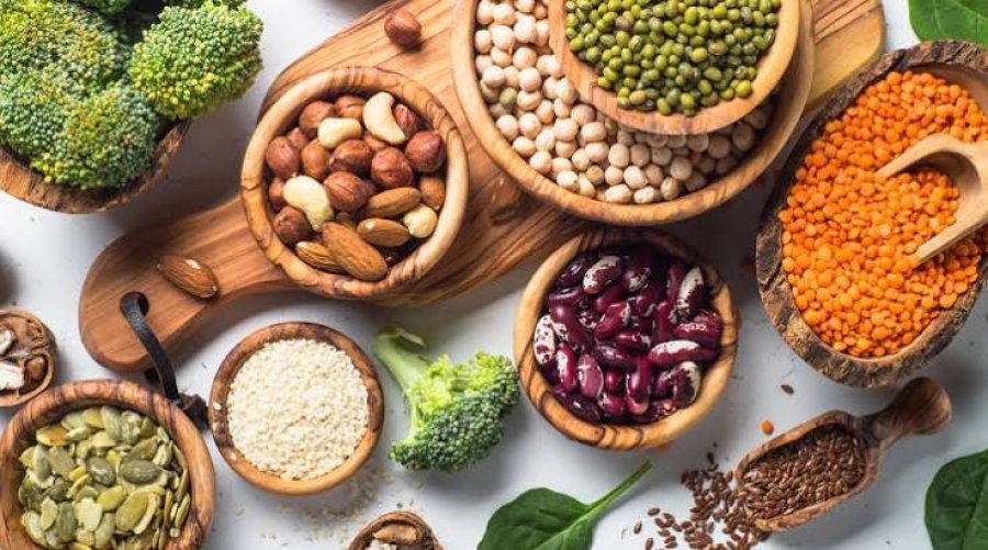 Më shumë apo më pak proteina  këshillat e ekspertëve për të përballuar temperaturat e larta