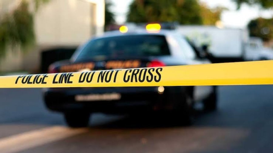 Tragjedi në Florida: Katërvjeçari qëllon për vdekje kushëririn dyvjeçar