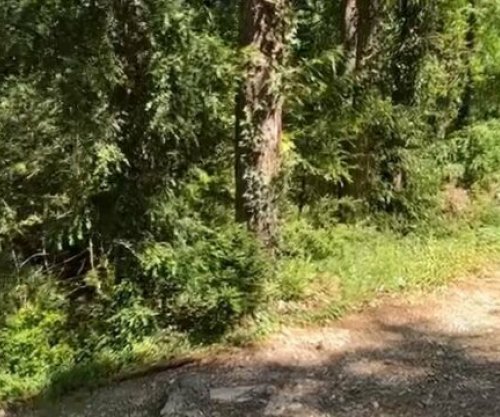 Dy turistë gjermanë lëshojnë alarmin SOS pasi mbetën të bllokuar në mal, efektivët e Vlorës nisen drejt vendndodhjes së tyre