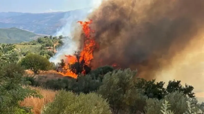 Komuna e Drenasit kërkon kujdes të shtuar për parandalimin e zjarreve gjatë temperaturave të larta
