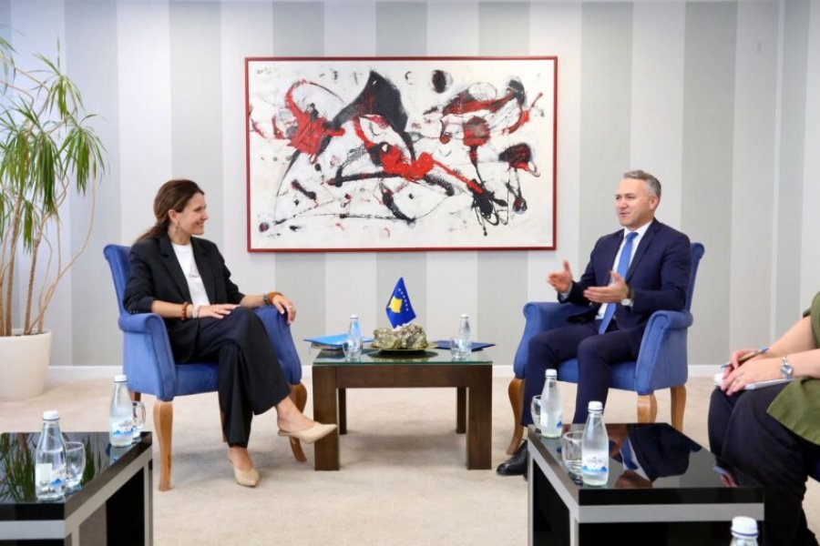 Kryenegociatori Zulfaj priti në takim Shefen e UNICEF it në Kosovë  Veronika Vashchenko