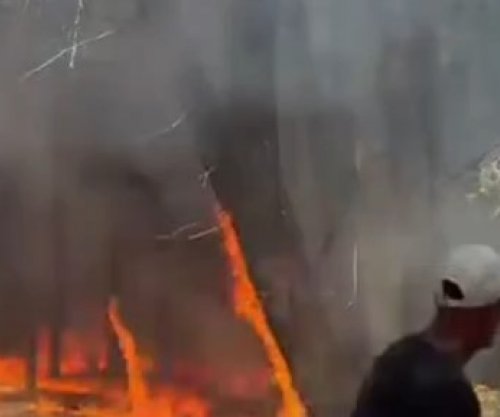 Zjarr i madh në një pyll në afërsi të Zvërnecit, rrezikohen sipërfaqe pyjore