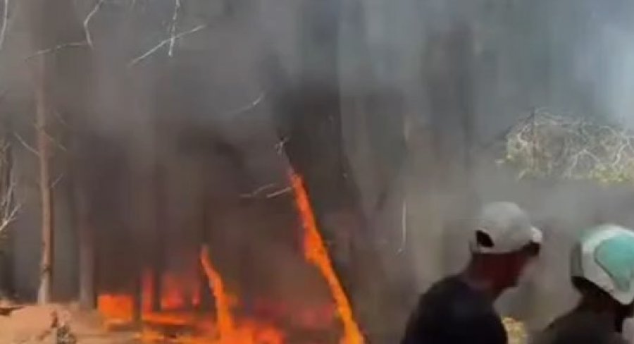 Zjarr i madh në një pyll në afërsi të Zvërnecit, rrezikohen sipërfaqe pyjore