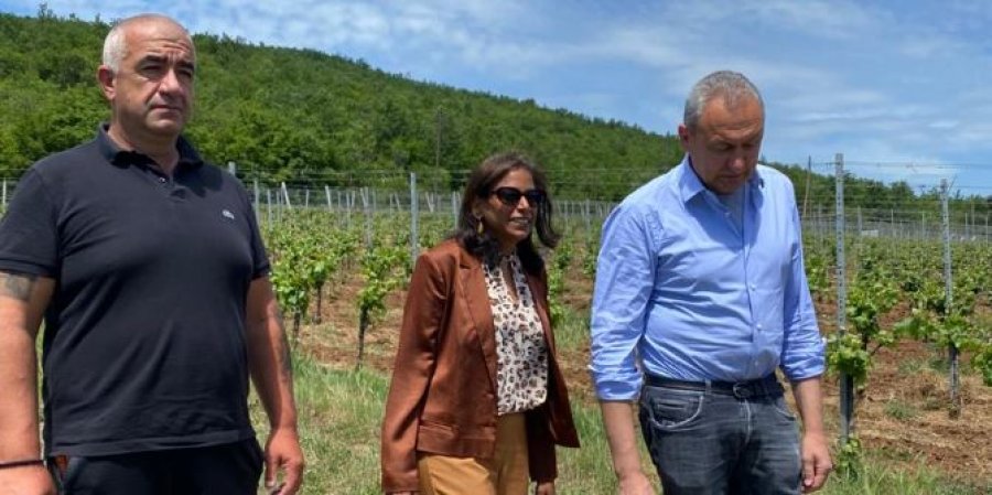 Prattipati zhvillon takime në Zveçan dhe Leposaviq për situatën aktuale në veri