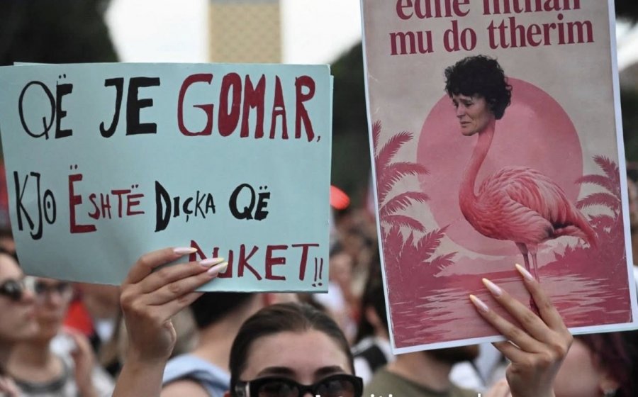 Protestat për Zvërnecin  Rama  Më argëtojnë memet e revolucionit imagjinar të flamingove