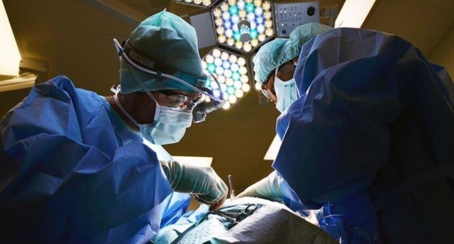 Kina kryen transplantin e parë në botë të mëlçisë dhe veshkave të derrit te një pacient