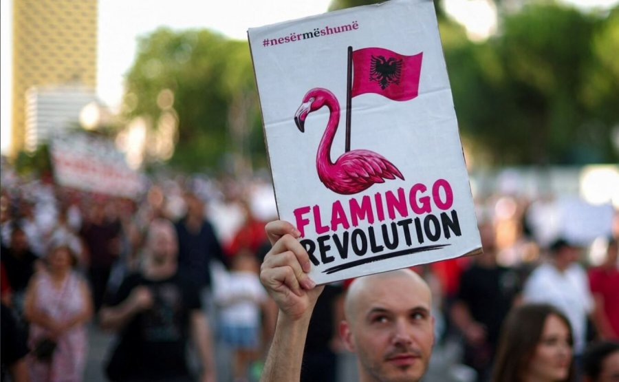 Revolucioni i flamingove  përplas Ramën me Iranin