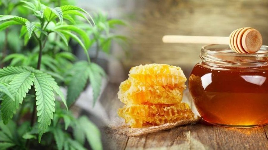 A mundet mjalti të na zbusë simptomat e alergjisë pranverore 