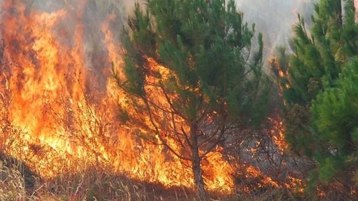 QMK  14 vatra zjarri aktive në gjithë Maqedoninë