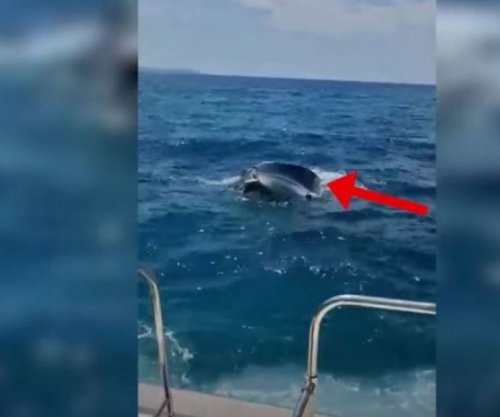 Dy turistë ukrainas shpëtohen në Ksamil, varka e tyre po fundosej nga moti i keq [Video]