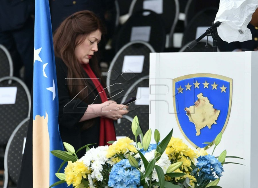 Kearns në KiE alarmon për Serbinë  përmend edhe armatosjen që i bëri grupit terrorist të Banjskës