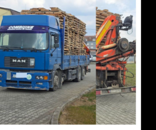 Sekuestrohen rreth 20 m³ dru të përpunuar pa dokumentacion në Podujevë