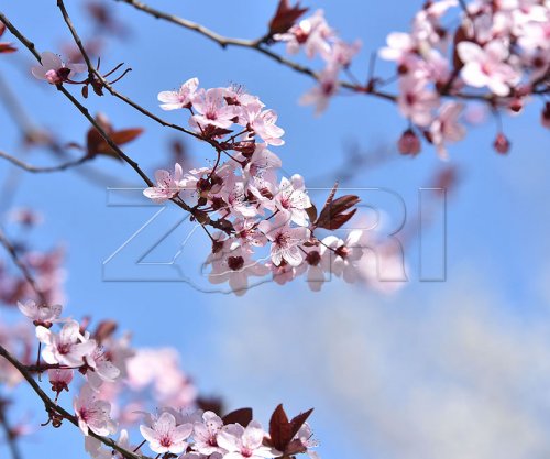 Si ndikon ekuinoksi pranveror në jetën tonë