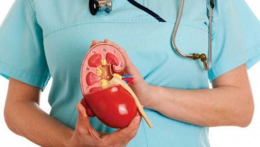 prishtina-shenon-diten-boterore-te-veshkes-me-aktivitete-ndergjegjesuese