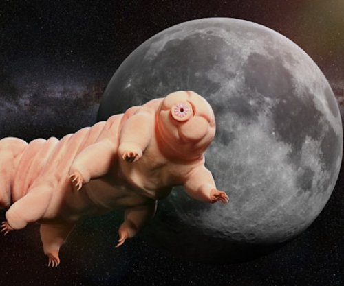 A e dini se cila është krijesa e vetme që mund të jetojë në Hënë?