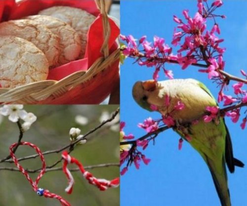 Në prag të festës, Legjenda e Ditës së Verës