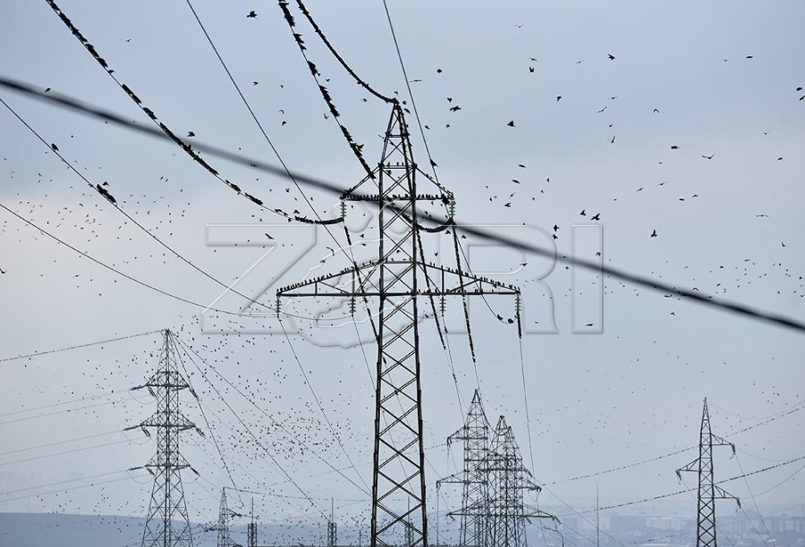 Nga 1 prilli vazhdon faza e dytë e liberalizimit të tregut të energjisë – Përfaqësuesit e biznesve me kritika