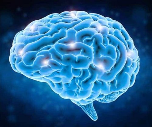 Aktivitetet që sfidojnë trurin mund të ndihmojnë në ruajtjen e shëndetit mendor